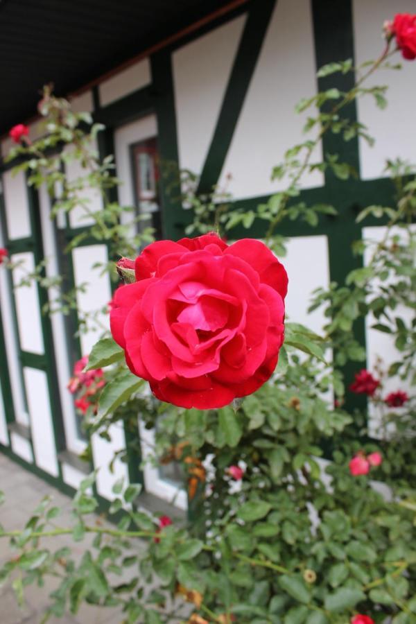 Gemuetliches Fachwerkhaus Im Herzen Nideggens ภายนอก รูปภาพ